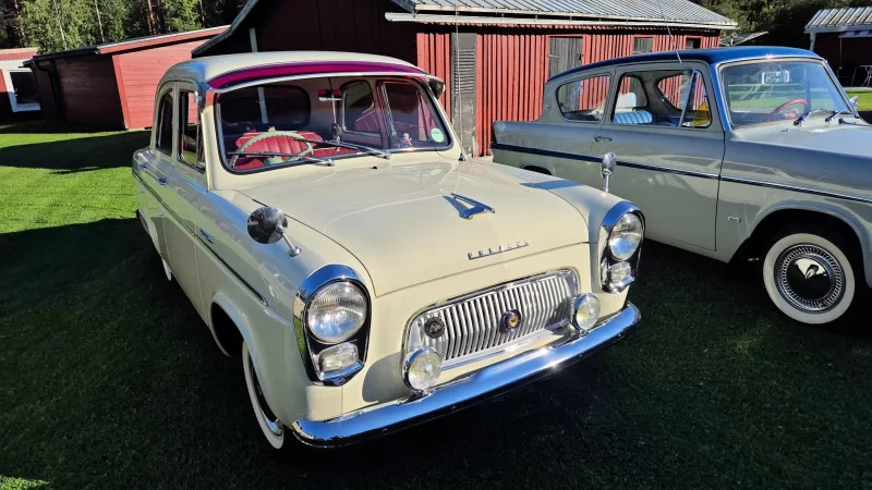 Ford Sonnenschute