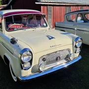 Ford Sonnenschute