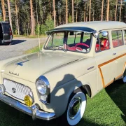 Ford Sonnenschute