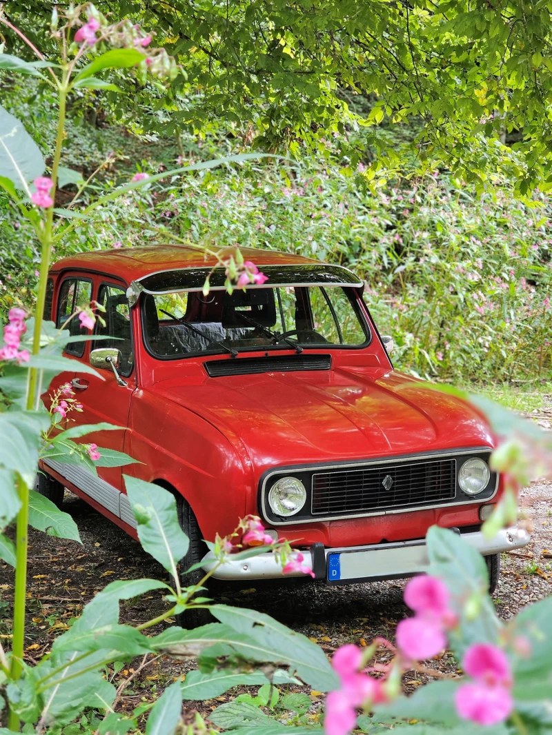 Renault R4 Sonnenschute